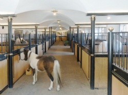 Horse House