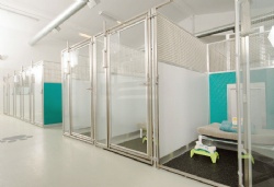 Stainless steel 304 dog cage